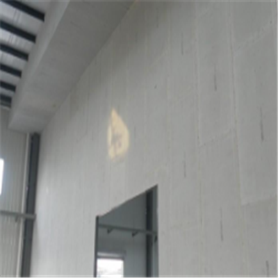 大名宁波ALC板|EPS加气板隔墙与混凝土整浇联接的实验研讨